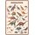 Schild Spruch "Dinosaurier" Arten 20 x 30 cm