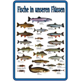 Schild Spruch "Fische in unseren Flüssen" 20 x 30 cm 