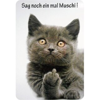 Schild Spruch "Sag noch ein mal Muschi" Katze 20 x 30 cm 