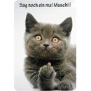 Schild Spruch "Sag noch ein mal Muschi" Katze...