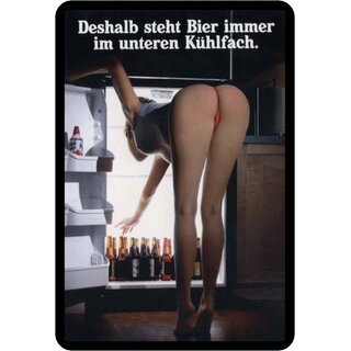 Schild Spruch "Deshalb steht das Bier immer im unteren Kühlfach" 20 x 30 cm