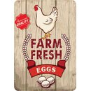 Schild Spruch Farm fresh eggs, premium quality 20 x 30 cm 