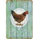 Schild Spruch Farm Fresh Eggs, free range 1927 20 x 30 cm 