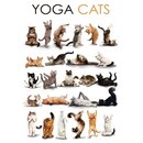 Schild Spruch "Yoga Cats" Katzen 20 x 30 cm 