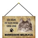 Schild Spruch "kein Heim Norwegische Waldkatze"...