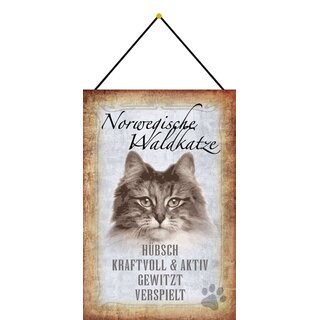 Schild Spruch "Norwegische Waldkatze, hübsch verspielt" 20 x 30 cm Blechschild mit Kordel