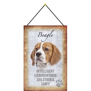 Schild Spruch "Beagle, intelligent zielstrebig sanft" Hund 20 x 30 cm Blechschild mit Kordel