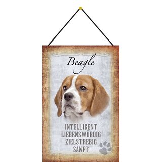 Schild Spruch "Beagle, intelligent zielstrebig sanft" Hund 20 x 30 cm Blechschild mit Kordel