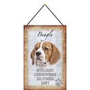 Schild Spruch "Beagle, intelligent zielstrebig...