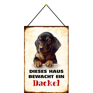 Schild Spruch "Dieses Haus bewacht ein Dackel" Hund 20 x 30 cm Blechschild mit Kordel