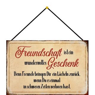 Schild Spruch "Freundschaft wundervolles Geschenk, Lächeln" 20 x 30 cm Blechschild mit Kordel
