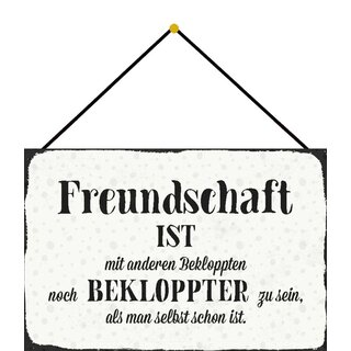 Schild Spruch "Freundschaft mit Bekloppten bekloppter sein" 20 x 30 cm Blechschild mit Kordel