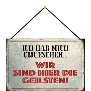 Schild Spruch "Ich hab mich umgesehen, wir sind die Geilsten" 20 x 30 cm Blechschild mit Kordel