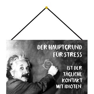 Schild Spruch "Hauptgrund Stress tägliche Kontakt Idioten" Einstein 20 x 30 cm Blechschild mit Kordel