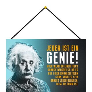 Schild Spruch "Genie, Fisch beurteilst klettern dumm" Einstein blau 20 x 30 cm Blechschild mit Kordel