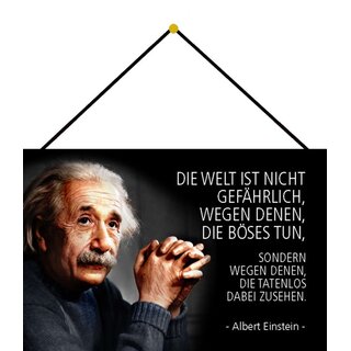 Schild Spruch "Welt nicht gefährlich, böses tun, zusehen" Einstein 20 x 30 cm Blechschild mit Kordel