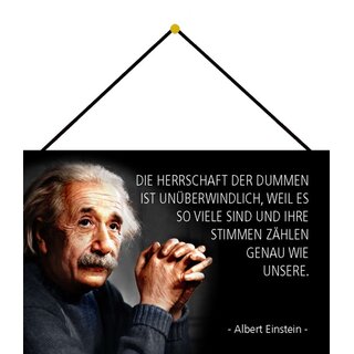 Schild Spruch "Herrschaft Dummen unüberwindlich" Einstein 20 x 30 cm Blechschild mit Kordel