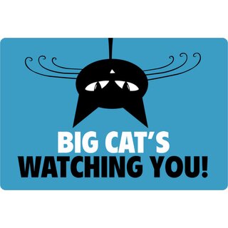 Schild Spruch "Big Cats watching you!" 20 x 30 cm 