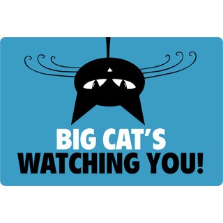 Schild Spruch "Big Cats watching you!" 20 x 30 cm