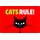 Schild Spruch "Cats rule!" 20 x 30 cm 