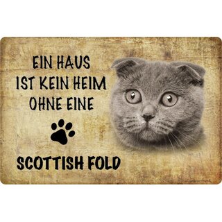 Schild Spruch "kein Heim ohne Scottish Fold" Katze 20 x 30 cm 