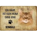 Schild Spruch "kein Heim Somali" Katze 20 x 30 cm