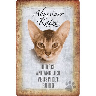 Schild Spruch "Abyssiner Katze, hübsch ruhig" 20 x 30 cm  