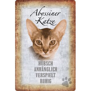 Schild Spruch "Abyssiner Katze, hübsch ruhig" 20 x 30 cm