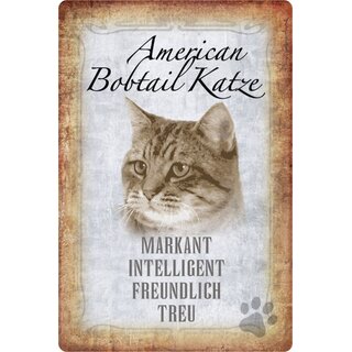 Schild Spruch "American Bobtail Katze, markant" 20 x 30 cm  