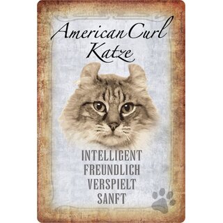 Schild Spruch "American Curl Katze. Intelligent" 20 x 30 cm 