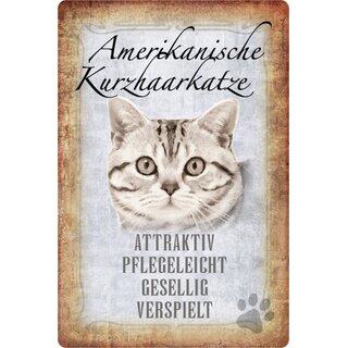 Schild Spruch "Amerikanische Kurzhaarkatze, verspielt" 20 x 30 cm
