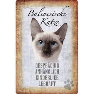 Schild Spruch "Balinesische Katze, anhänglich lebhaft" 20 x 30 cm  