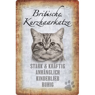 Schild Spruch "Britische Kurzhaarkatze, ruhig kinderlieb" 20 x 30 cm