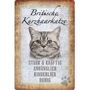 Schild Spruch "Britische Kurzhaarkatze, ruhig...