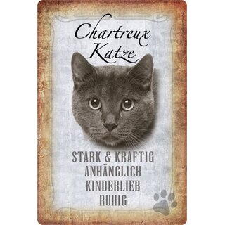 Schild Spruch "Chartreux Katze, ruhig kinderlieb" 20 x 30 cm  