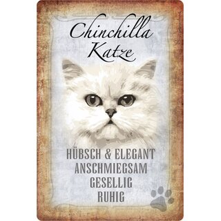 Schild Spruch "Chinchilla Katze, ruhig gesellig" 20 x 30 cm  