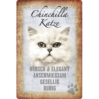 Schild Spruch "Chinchilla Katze, ruhig gesellig" 20 x 30 cm