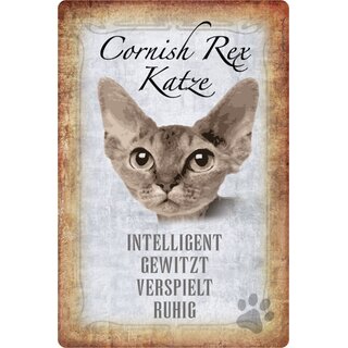 Schild Spruch "Cornish Rex Katze, ruhig verspielt" 20 x 30 cm  