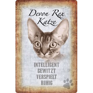 Schild Spruch "Devon Rex Katze, ruhig gewitzt" 20 x 30 cm  