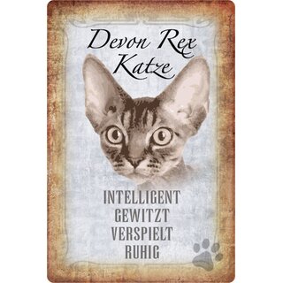 Schild Spruch "Devon Rex Katze, ruhig gewitzt" 20 x 30 cm