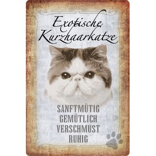 Schild Spruch "Exotische Kurzhaarkatze, ruhig verschmust" 20 x 30 cm