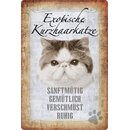 Schild Spruch "Exotische Kurzhaarkatze, ruhig...