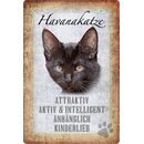 Schild Spruch "Havanakatze, attraktiv...