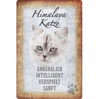 Schild Spruch "Himalaya Katze, sanft verspielt" 20 x 30 cm  