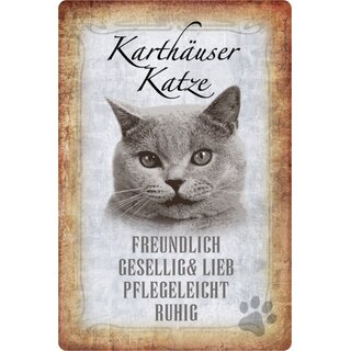 Schild Spruch "Karthäuser Katze, ruhig freundlich" 20 x 30 cm 