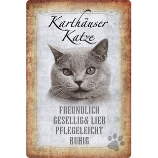 Schild Spruch "Karthäuser Katze, ruhig freundlich" 20 x 30 cm