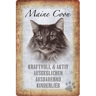 Schild Spruch "Maine Coon, kinderlieb ausdauernd" 20 x 30 cm