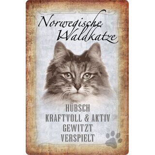 Schild Spruch "Norwegische Waldkatze, hübsch verspielt" 20 x 30 cm 