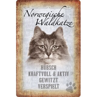 Schild Spruch "Norwegische Waldkatze, hübsch verspielt" 20 x 30 cm