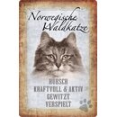 Schild Spruch "Norwegische Waldkatze, hübsch...